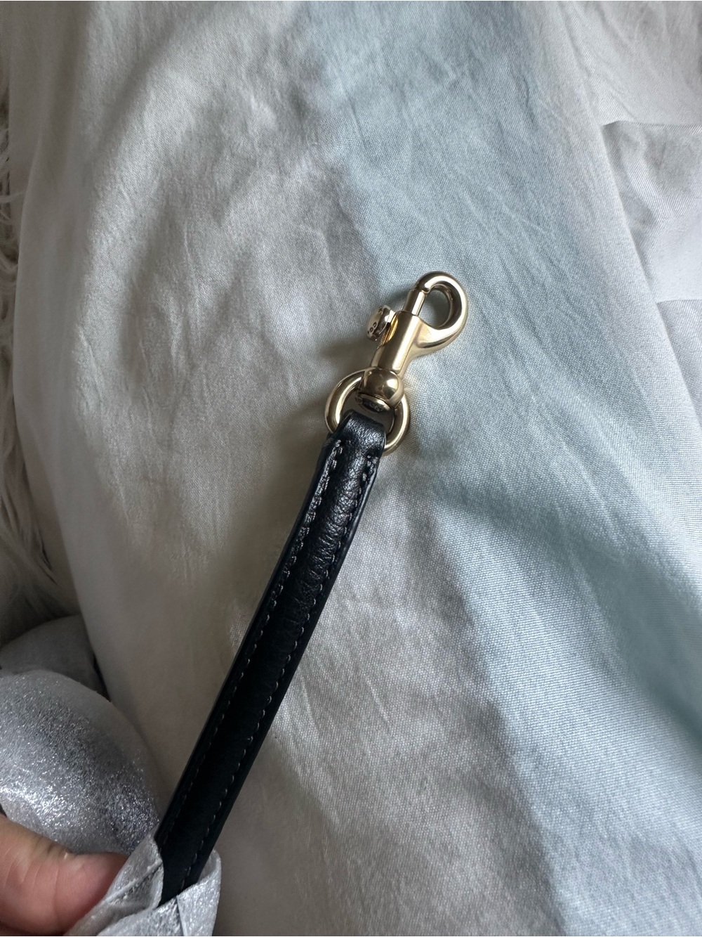 Coach skinny crossbody strap